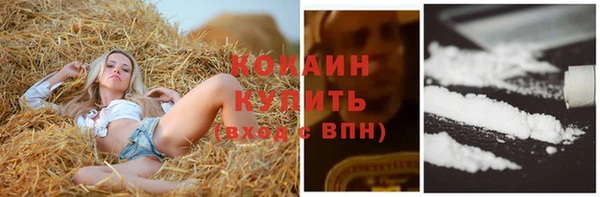 эйфоретик Дмитров