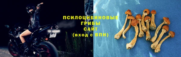 марки lsd Дмитриев