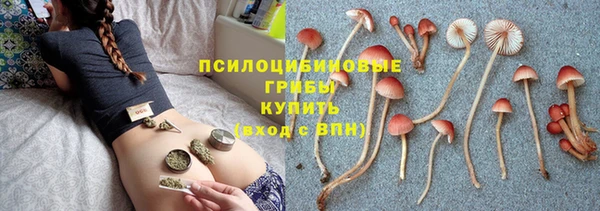 марки lsd Дмитриев
