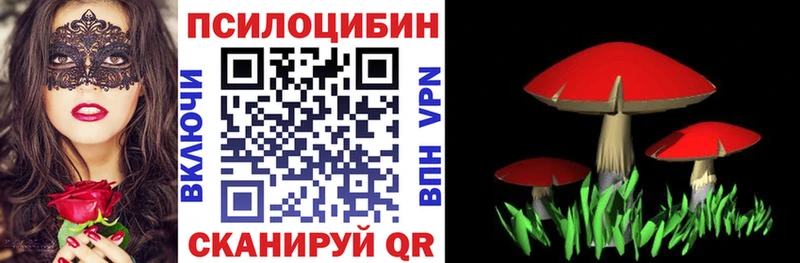 Купить Осташков Галлюциногенные грибы GOLDEN TEACHER